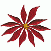 POINSETTIA