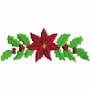 POINSETTIA