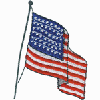 AMERICAN FLAG