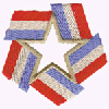 PATRIOTIC STAR