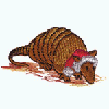 CHRISTMAS ARMADILLO