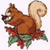 SQUIRREL