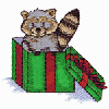 RACCOON IN GIFT BOX