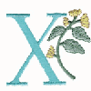 LETTER X