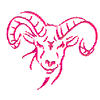 RAM