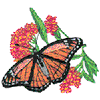 MONARCH BUTTERFLY