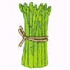 ASPARAGUS