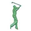 GOLFER SILHOUETTE