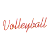 VOLLEYBALL IN SCRIPT