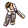 CRICKET PLAYER