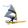 WINDSURFER