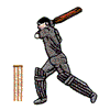 CRICKET PLAYER