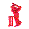 CRICKET PLAYER