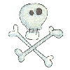 SKULL AND BONES