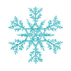 SNOWFLAKES