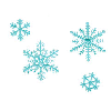 SNOWFLAKE