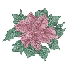 POINSETTIA