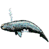 WHALE