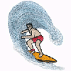 SURFER