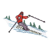 SKIER