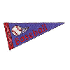 BASEBALL PENNANT