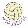 VOLLEYBALL