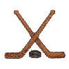 HOCKEY PUCK AND STICKS