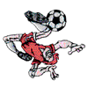 SOCCER PLAYER