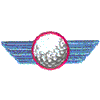 WINGED GOLF BALL