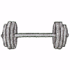 BARBELL