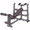 WEIGHT BENCH