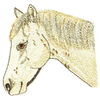 HORSE HEAD