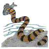 SEA SNAKE