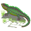 TUATARA