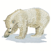 POLAR BEAR