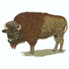 BUFFALO