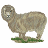 SHEEP