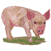 PIG