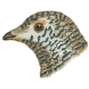 BIRD HEAD