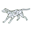 DALMATION