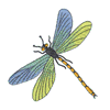 DRAGONFLY