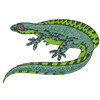 REPTILE