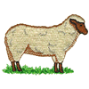 SHEEP