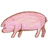 PIG