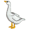 GOOSE