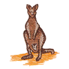 KANGAROO