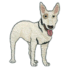 BULL TERRIER