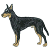 MANCHESTER TERRIER