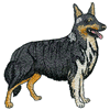 COLLIE