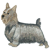 SILKY TERRIER